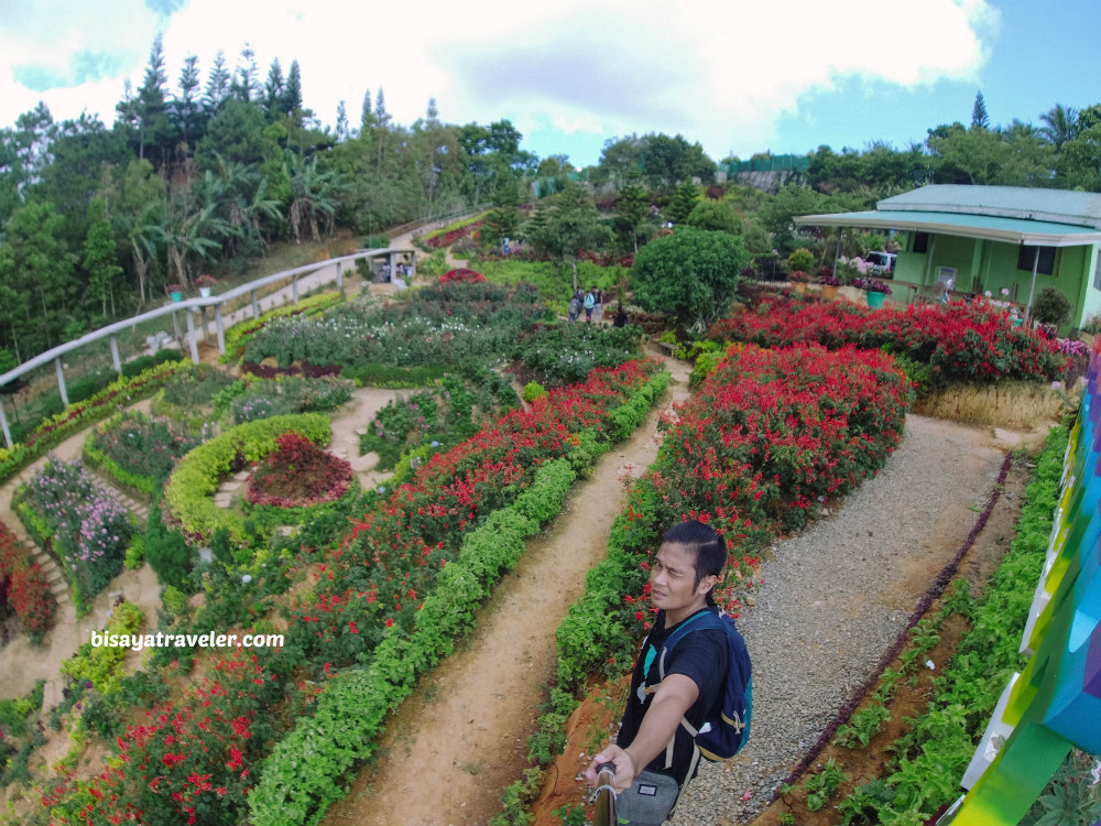 Buwakan Ni Alejandra: Balamban’s Surprisingly Wondrous Garden