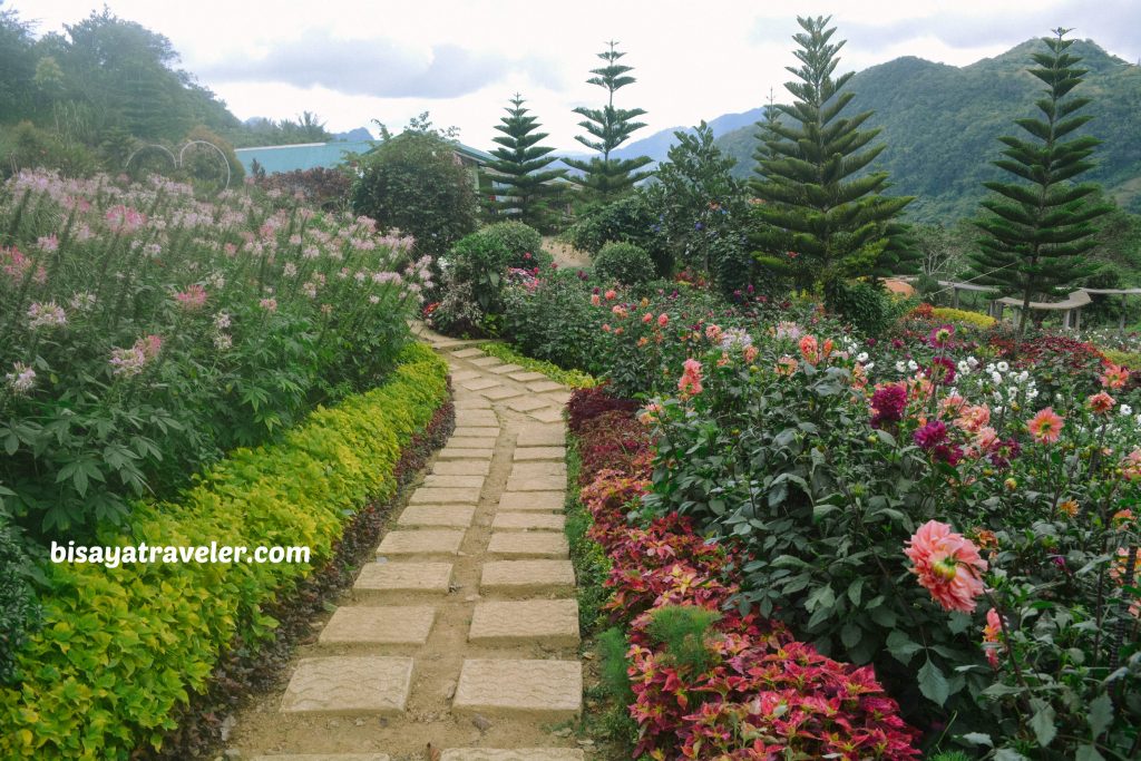 Buwakan Ni Alejandra: Balamban’s Surprisingly Wondrous Garden