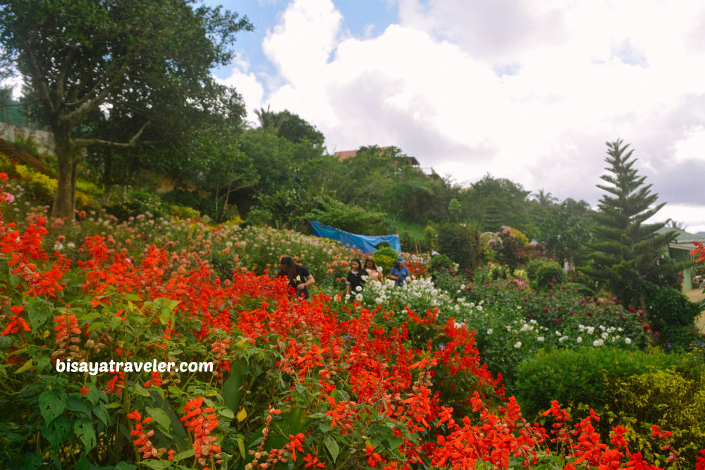 Buwakan Ni Alejandra: Balamban’s Surprisingly Wondrous Garden