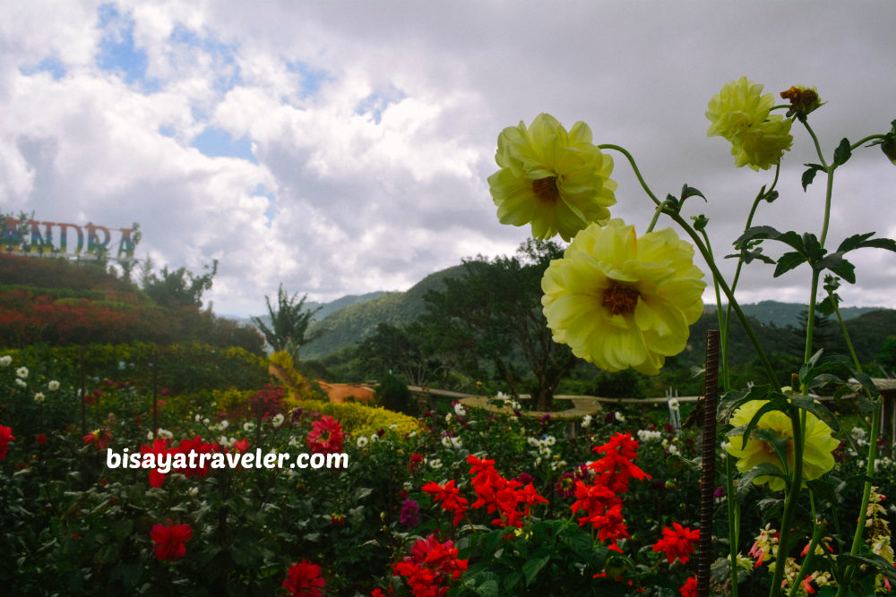 Buwakan Ni Alejandra: Balamban’s Surprisingly Wondrous Garden