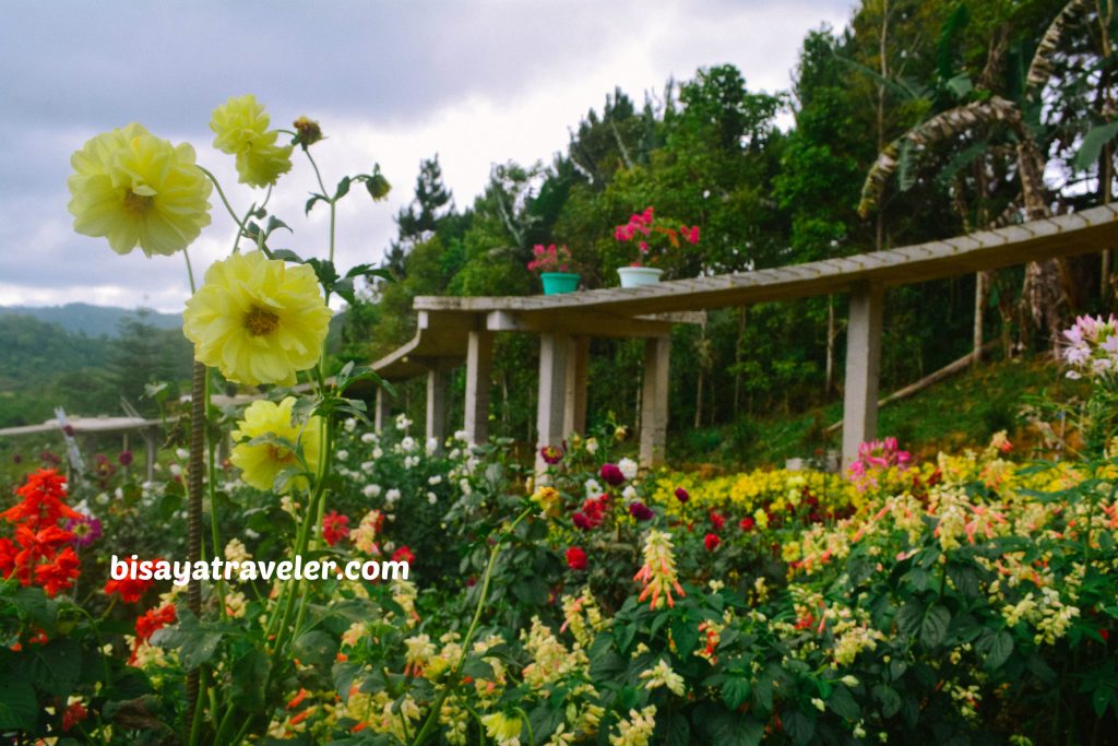 Buwakan Ni Alejandra: Balamban’s Surprisingly Wondrous Garden