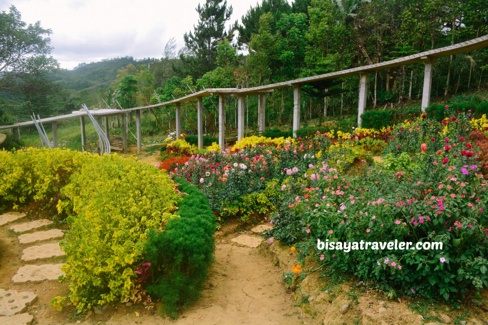 Buwakan Ni Alejandra: Balamban’s Surprisingly Wondrous Garden