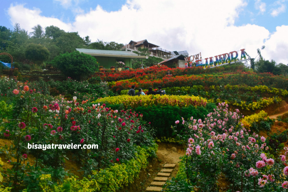 Buwakan Ni Alejandra: Balamban’s Surprisingly Wondrous Garden