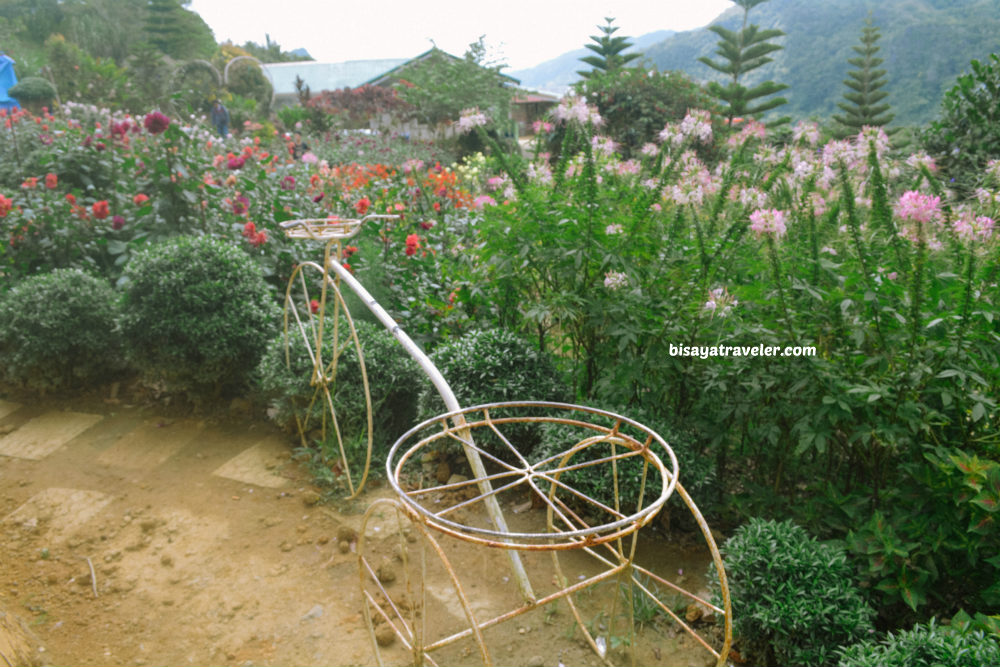 Buwakan Ni Alejandra: Balamban’s Surprisingly Wondrous Garden