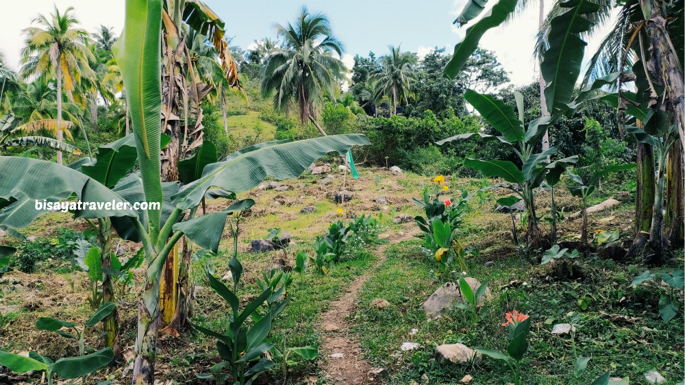 Tuburan Cebu: Loving Life In The Time Of Crisis